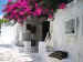 Bond-fuchsia-bougainvillea-cottage.jpg (10633 bytes)